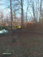 gratis brandhout: één boom om te zagen, Minder dan 3 m³, Ophalen, Overige houtsoorten, Stammen