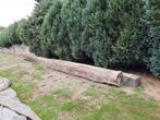 Eiken Balken ( 2x ) Te Koop, Ophalen, Gebruikt, Hardhout, 250 cm of meer