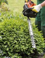 Tuinman, Diensten en Vakmensen, Tuinmannen en Stratenmakers, Garantie
