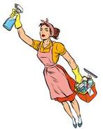 Ervaren poetshulp nodig ???, Vacatures