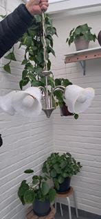 luster, Huis en Inrichting, Ophalen, Gebruikt, Glas, Landelijk