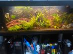 Aquarium 180 x 60 x 60 cm, Dieren en Toebehoren, Ophalen, Zo goed als nieuw
