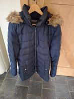 Tommy Hilfiger xxl Dames, Ophalen