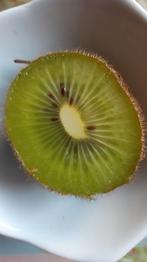 Kiwi bio versgeplukt vitamine- en vezelrijk lokaal, Ophalen