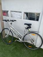 Damesfiets Olympia, Gebruikt, 26 inch, Ophalen, Overige merken