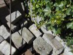 Eléments de bordure en pierre, Tuin en Terras, Overige Tuin en Terras, Ophalen, Gebruikt