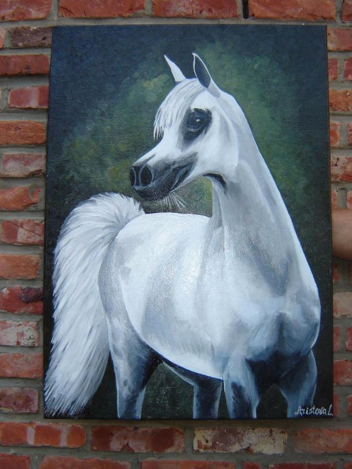 Schilderij Arabisch paard (doek 50x70), Antiek en Kunst, Kunst | Schilderijen | Klassiek, Ophalen of Verzenden