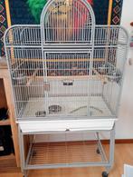 Montana vogelkooi met benodigdheden voor vogels, Dieren en Toebehoren, Vogels | Hokken en Kooien, Ophalen, Zo goed als nieuw, Vogelkooi