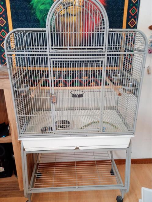 Montana vogelkooi met benodigdheden voor vogels, Dieren en Toebehoren, Vogels | Hokken en Kooien, Zo goed als nieuw, Vogelkooi