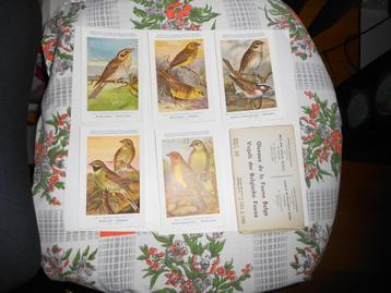 Postkaarten.Carte Postale.Reeks 16.Vogels.Oiseaux beschikbaar voor biedingen
