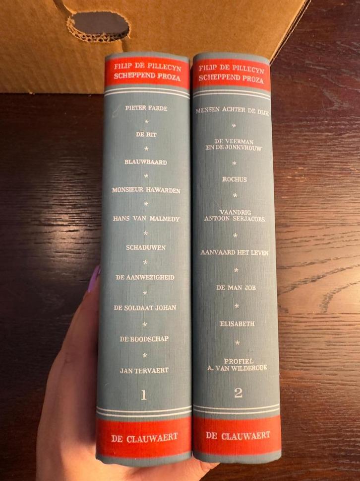 VLAAMSE LITERATUUR FILIP DE PILLECYN Filip De Pillecyn., Boeken, Literatuur, Gelezen, Ophalen of Verzenden