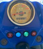 Maxxer 300 Quad, 1 cilinder, 300 cc, 12 t/m 35 kW