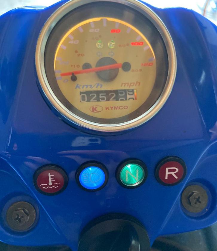 Maxxer 300 Quad, Motos, Quads & Trikes, 12 à 35 kW, 1 cylindre, Enlèvement