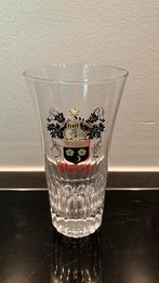 Duvel glas pils model, Verzamelen, Biermerken, Ophalen of Verzenden, Gebruikt, Duvel