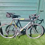 Retrofiets Ridley, Fietsen en Brommers, 57 tot 61 cm, Ophalen, Gebruikt, Carbon