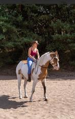 Knappe paint ruin, Dieren en Toebehoren, Paarden, Minder dan 160 cm, Gechipt, Ruin, Zadelmak