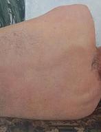 Ellen Altfest (née en 1970, New York), Neuf, Peinture et dessin, Enlèvement ou Envoi, Robert Storr