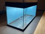 Juwel 200L, Ophalen, Gebruikt, Leeg aquarium