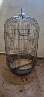 Vogelkooi, Ophalen of Verzenden, Zo goed als nieuw, Vogelkooi