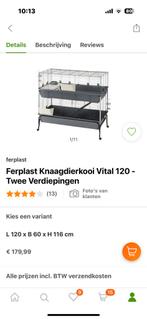 Rattenkooi met 2 ratjes en toebehoren., Animaux & Accessoires, Rongeurs