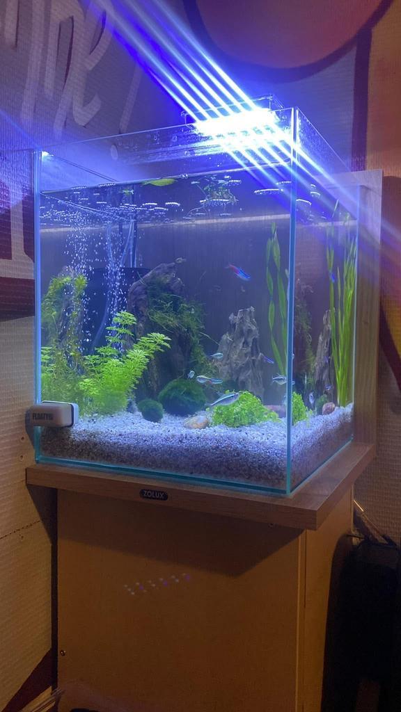 Aquaruim, Dieren en Toebehoren, Vissen | Aquaria en Toebehoren, Gebruikt, Overige typen, Ophalen