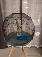 Geo Vogelkooi, Ophalen, Gebruikt, Metaal, Vogelkooi