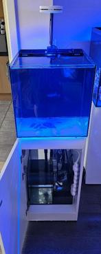 Waterbox marine x 35.1, Ophalen