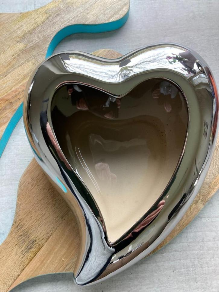 HART ZILVER GEGLAZUURD PLANTENSCHAAL GROOT 25 CM Nieuw, Tuin en Terras, Bloempotten, Nieuw, Aardewerk, Binnen, Minder dan 40 cm