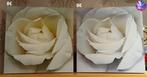 2 Schilderijen - Witte Roos, Ophalen