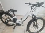 Vélo électrique, Enlèvement
