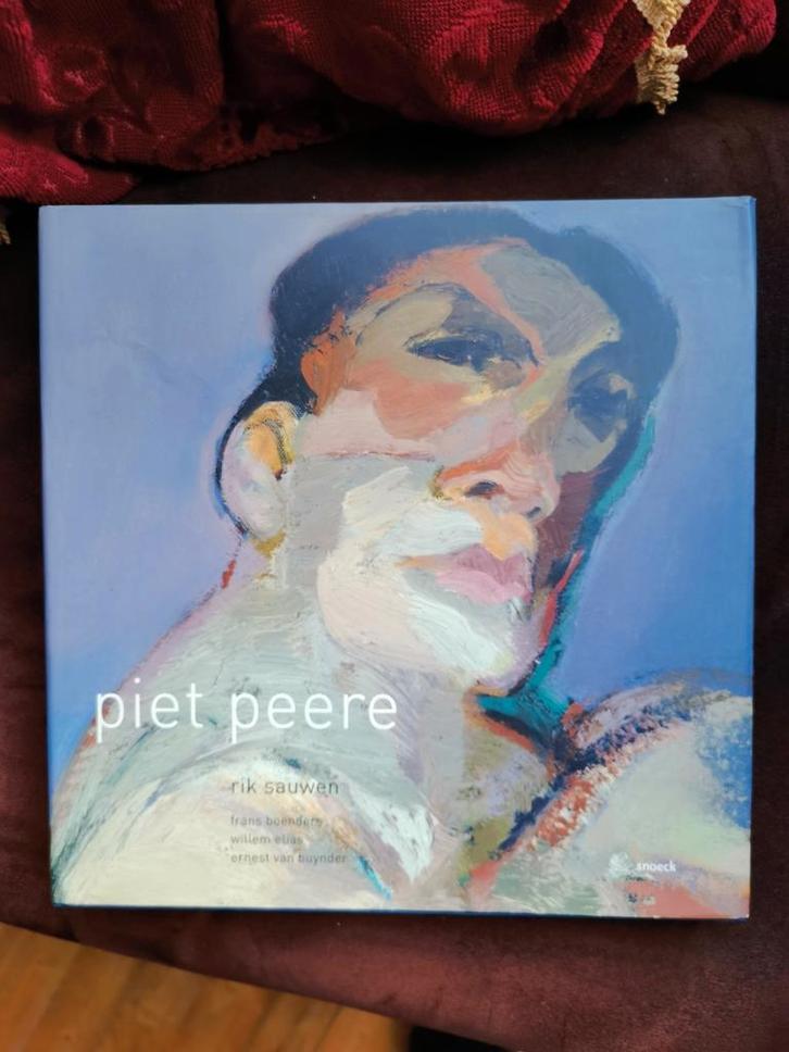 Piet Peere - kunstboek., Livres, Art & Culture | Arts plastiques, Comme neuf, Peinture et dessin, Enlèvement ou Envoi