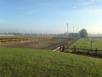 Paardenstalling - paardenboxen disponible aux enchères