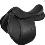 Acavallo bernini, Enlèvement