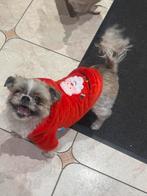 Manteau Noel taille L pour petit chien, Enlèvement, Comme neuf, Manteau pour chien