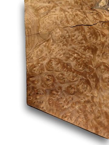 Placage Madrona | 45x38 cm, Envoi, Neuf