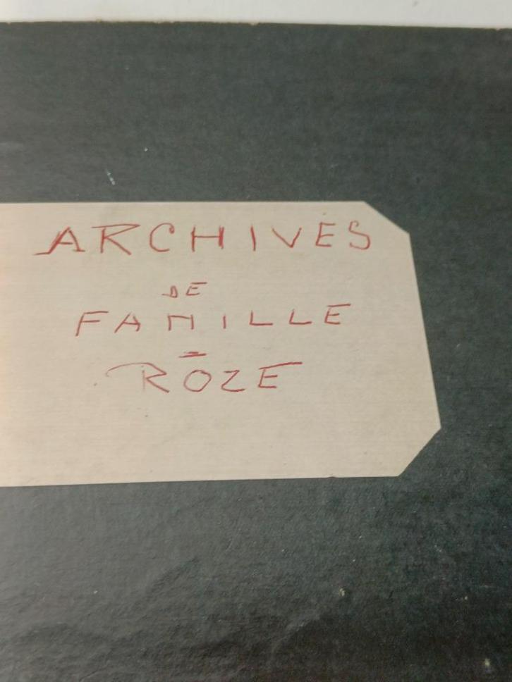 heemkunde stamboom familie archief ROZE, Antiek en Kunst, Antiek | Boeken en Manuscripten, Ophalen of Verzenden