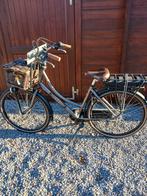 Elektrische fiets, Fietsen en Brommers, Ophalen