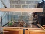 Aquarium 200 L, Dieren en Toebehoren, Ophalen, Zo goed als nieuw, Leeg aquarium