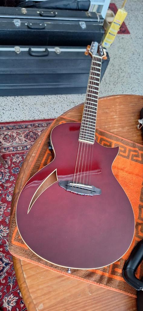 ESP LTD Thinline TL-6 semi-akoestische gitaar, Muziek en Instrumenten, Snaarinstrumenten | Gitaren | Akoestisch, Nieuw, Ophalen