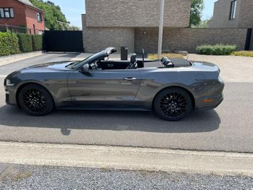 Ford Mustang 2.3 EcoBoost Cabriolet beschikbaar voor biedingen