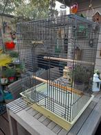 Vogelkooi op stevige statief in mooie staat, Animaux & Accessoires, Oiseaux | Cages & Volières, Enlèvement, Utilisé, Cage à oiseaux