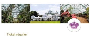 2Tickets Serres de Laeken pour samedi 10/05 a 20h30, Tickets & Billets