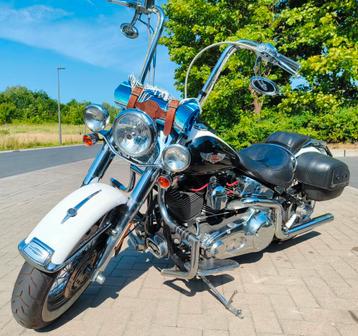 SOFTAIL DELUXE  beschikbaar voor biedingen