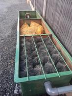 3 kamerfilter, Tuin en Terras, Ophalen of Verzenden