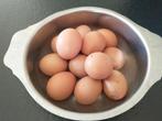 verse bio eieren, Poule ou poulet, Sexe inconnu