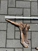 Hout aquarium, Ophalen, Zo goed als nieuw