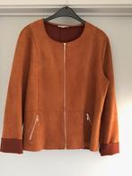 Vestje maat 46 ( Cassis ), Kleding | Dames, Bruin, Cassis, Maat 46/48 (XL) of groter, Ophalen of Verzenden
