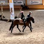 Lieve , brave beginners pony, 10 jaar, merrie 124 cm !, Poney de récréation, Jument, B, Vermifugé