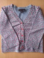 Beau gilet gris à motif fleuri, taille 74, fille, Enfants & Bébés, Vêtements de bébé | Taille 74, Enlèvement ou Envoi, Pull ou Veste