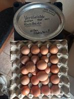 Versgelegde eitjes, Diversen, Ophalen